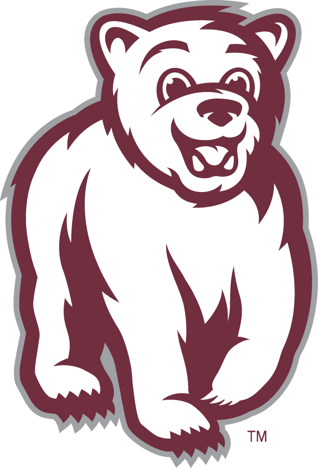 Montana Grizzlies 2010-Pres Mascot Logo v3 diy iron on heat transfer